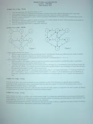 Proiectarea Algoritmilor · 2009 · Sesiune, imaginea 3