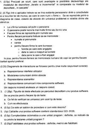 Ingineria Programarii · 2010 · Sesiune, imaginea 3