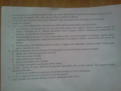 Ingineria Programarii · 2011 · Sesiune, imaginea 1
