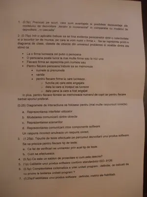 Ingineria Programarii · 2009 · Sesiune, imaginea 1